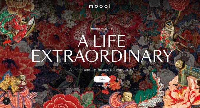Designs criativos de sites WordPress